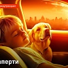Взаперти