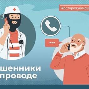 Мошенники на проводе