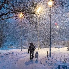 Советы спасателей: как пережить сильные морозы и снегопад