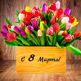 Дорогие женщины!