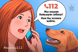 «Потерялась собака!»