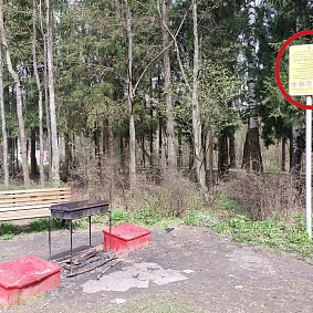 В лесопарке, на даче, во дворе: где можно и нельзя жарить шашлыки?