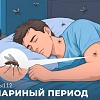 Осторожно – комары: когда укус становится опасным