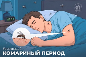 Осторожно – комары: когда укус становится опасным