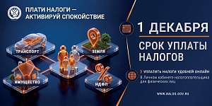 Что делать, если налоговое уведомление не получено